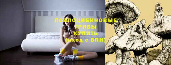 mix Нефтекумск